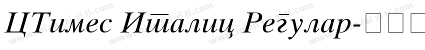 CTimes Italic Regular字体转换